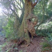 ArchRock 013 : ArchRock
